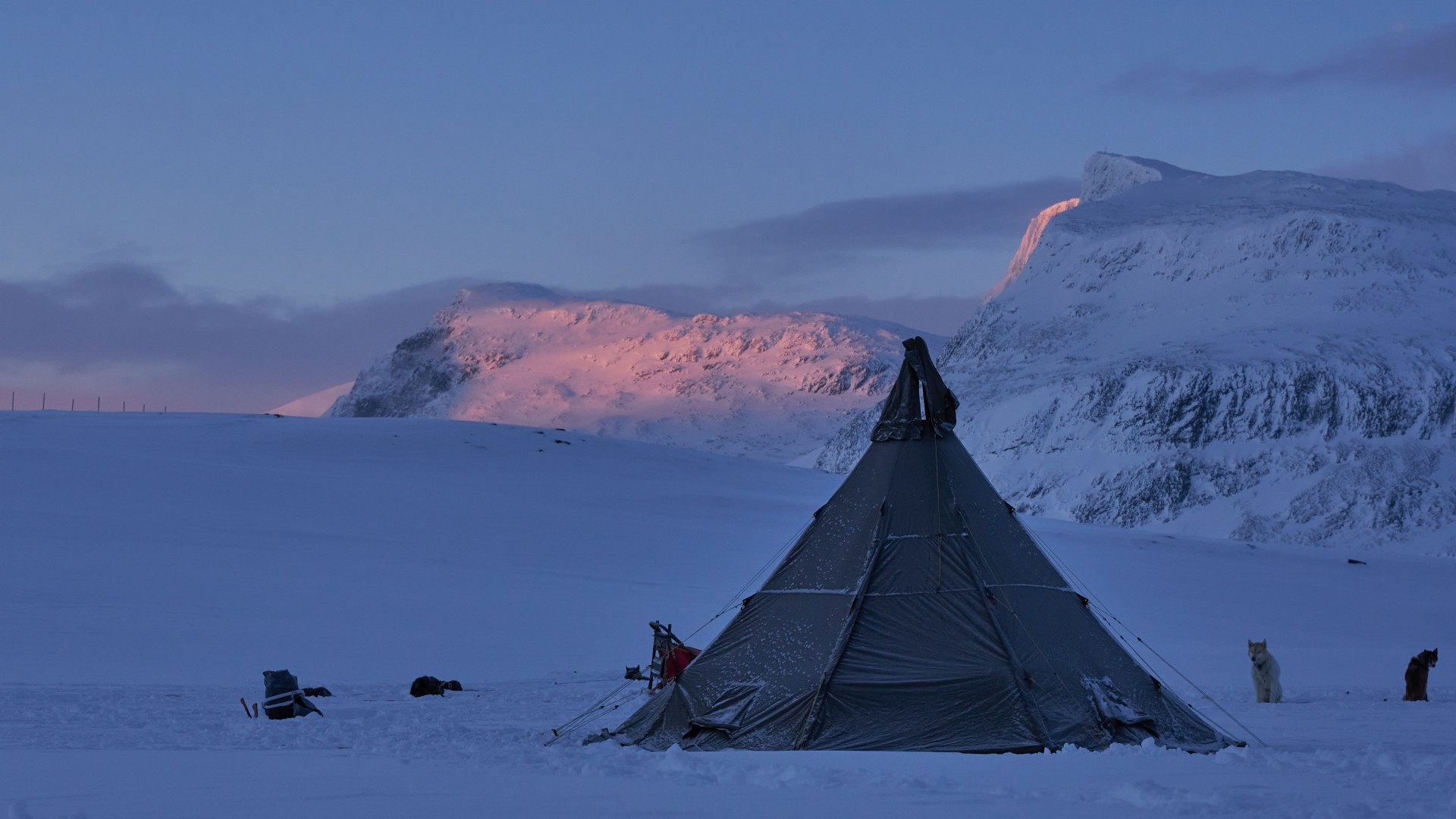 Huskyspuren im Reisa-Tal
